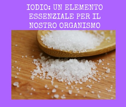 Articolo di Stefania Fortino