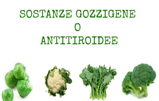 Articolo della Dott.ssa Stefania Fortino, Ph. D. Biologa