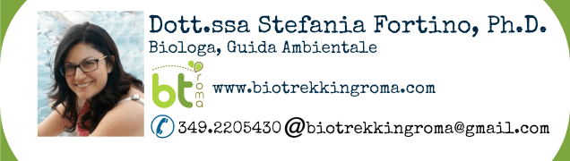 Stefania Fortino Biologa