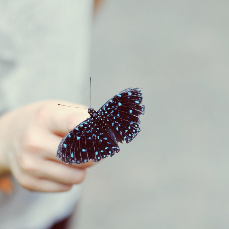 Photo credit: Anaïs Nannini / Source / CC BY-NC-SA