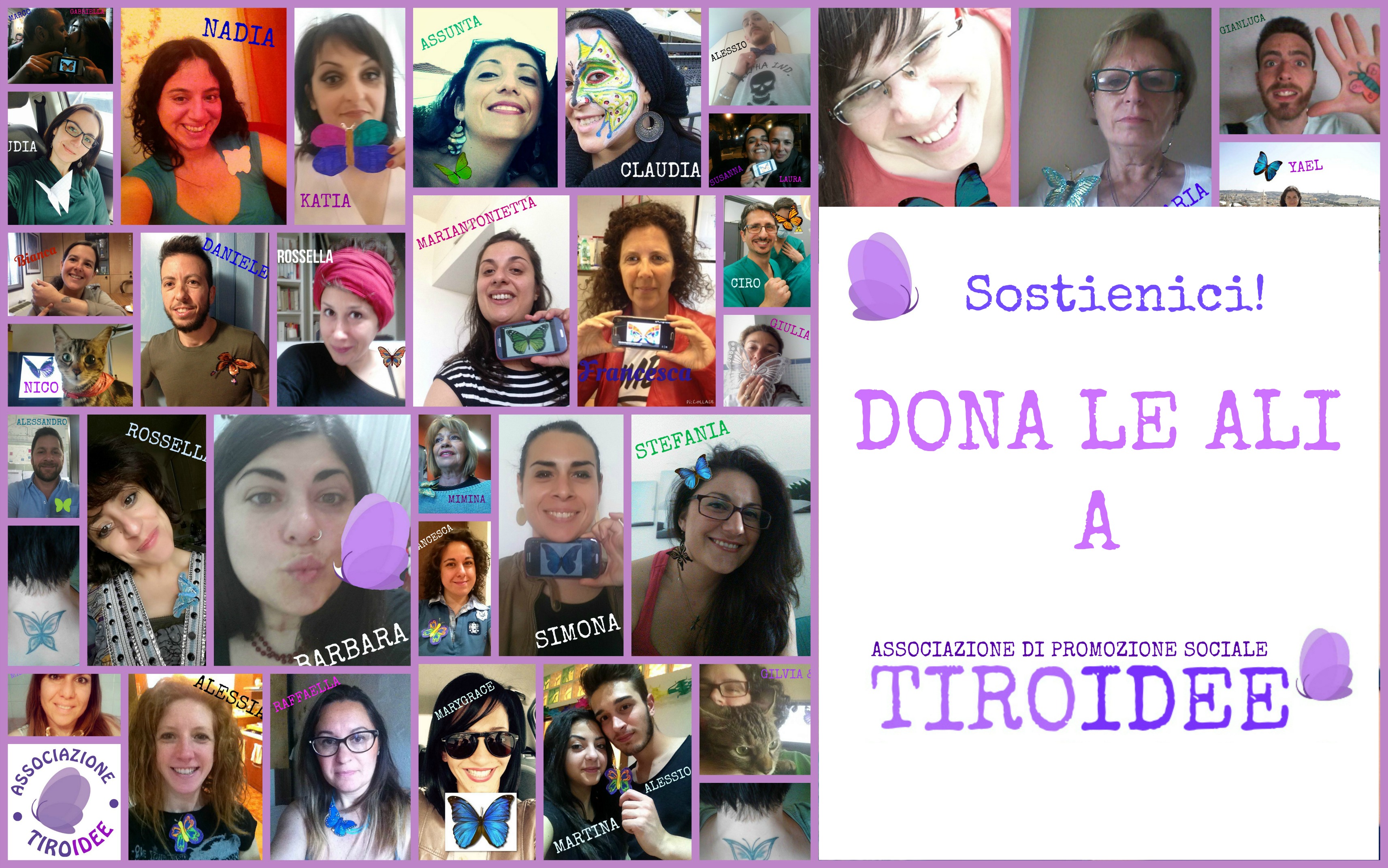 Progetto Aviva Foto1